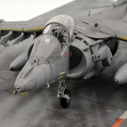 Harrier-5.jpg