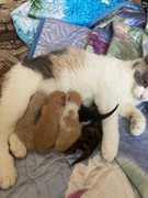 5C499D75-2712-4B07-95C4-EF6A4FF6B1C6