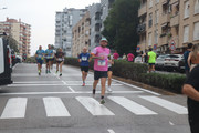 IMG-1515