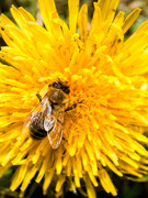 IMG-20190424-133817