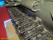IMG-7234