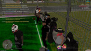 IMG-1341