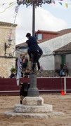IMG-0088