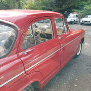 IMG-20220925-130731.jpg