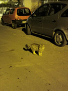 IMG-20201203-192812.jpg