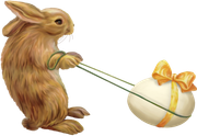 0-1c1187-c04a4c2a-orig