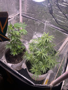 039F5C42-5ED0-479B-A916-05511AC31496