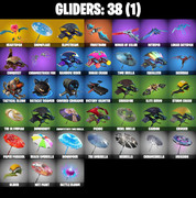 gliders-comp
