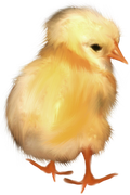 0-1c1189-cdf39e43-orig