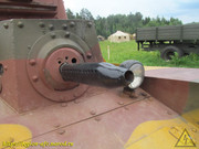IMG-7699