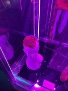 2E4E73D5-66DB-4D9D-8B27-C8C0F119CD00