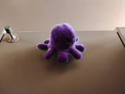 IMG-20250815-145716116-MP
