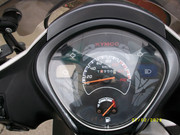 ALIM4194.jpg