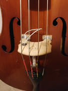 129211057_221650012643220_4692801802534844977_n