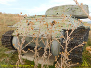 DSCN6510