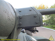 IMG-5561