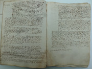 P1130906