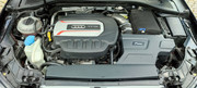 IMG-20211107-124531.jpg