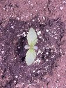 IMG_24589A0D-236B-4DAA-B3FF-C52E048E61BA