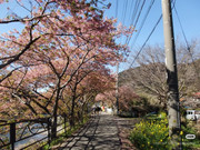 photo 16 2025 12 17 21 28 21