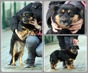 Be-Funky-collage-24.jpg&key=6f59aadf6167