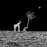 [Image: 3-mars-ref-ok-derniere.jpg]