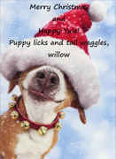 puppyxmas