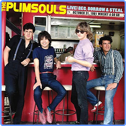 The Plimsouls - Live! Beg, Borrow & Steal (2010) FLAC LossLess