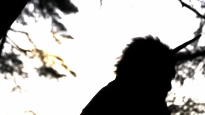 [Image: 3ayxrb2gcx05.jpg]