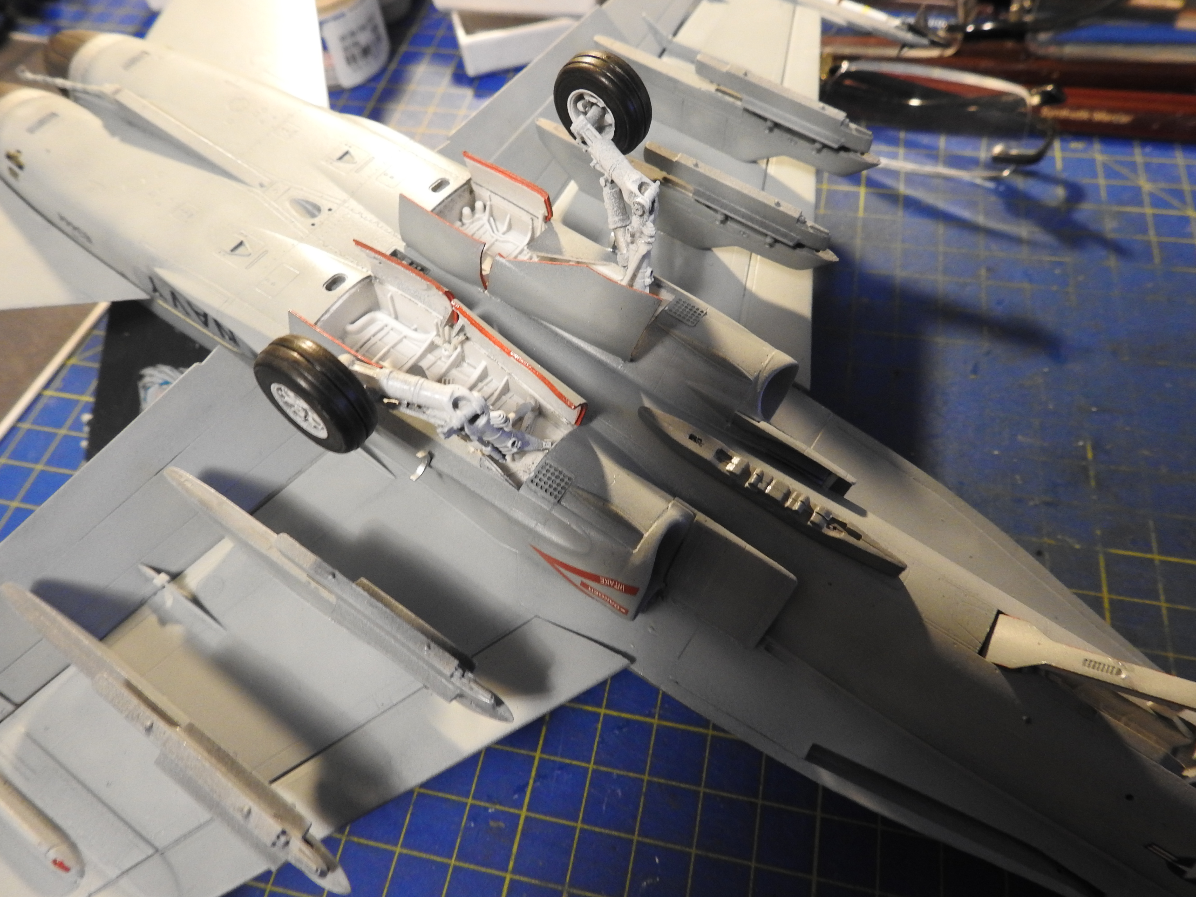 F/A-18C Hasegawa 1/48 - Sida 2 DSCN8850