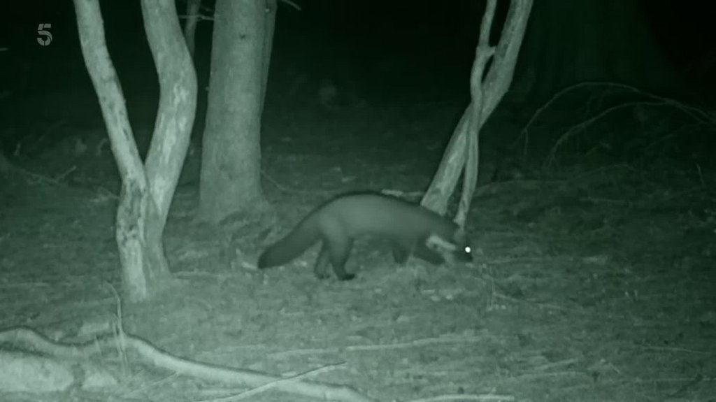 [Image: sq9uct9t9v4b.jpg]