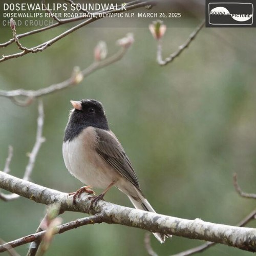 Chad-Crouch-Dosewallips-Soundwalk-24BIT-