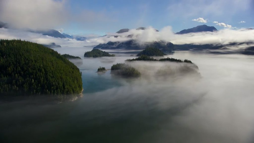 [Image: om10rnog8g2p.jpg]