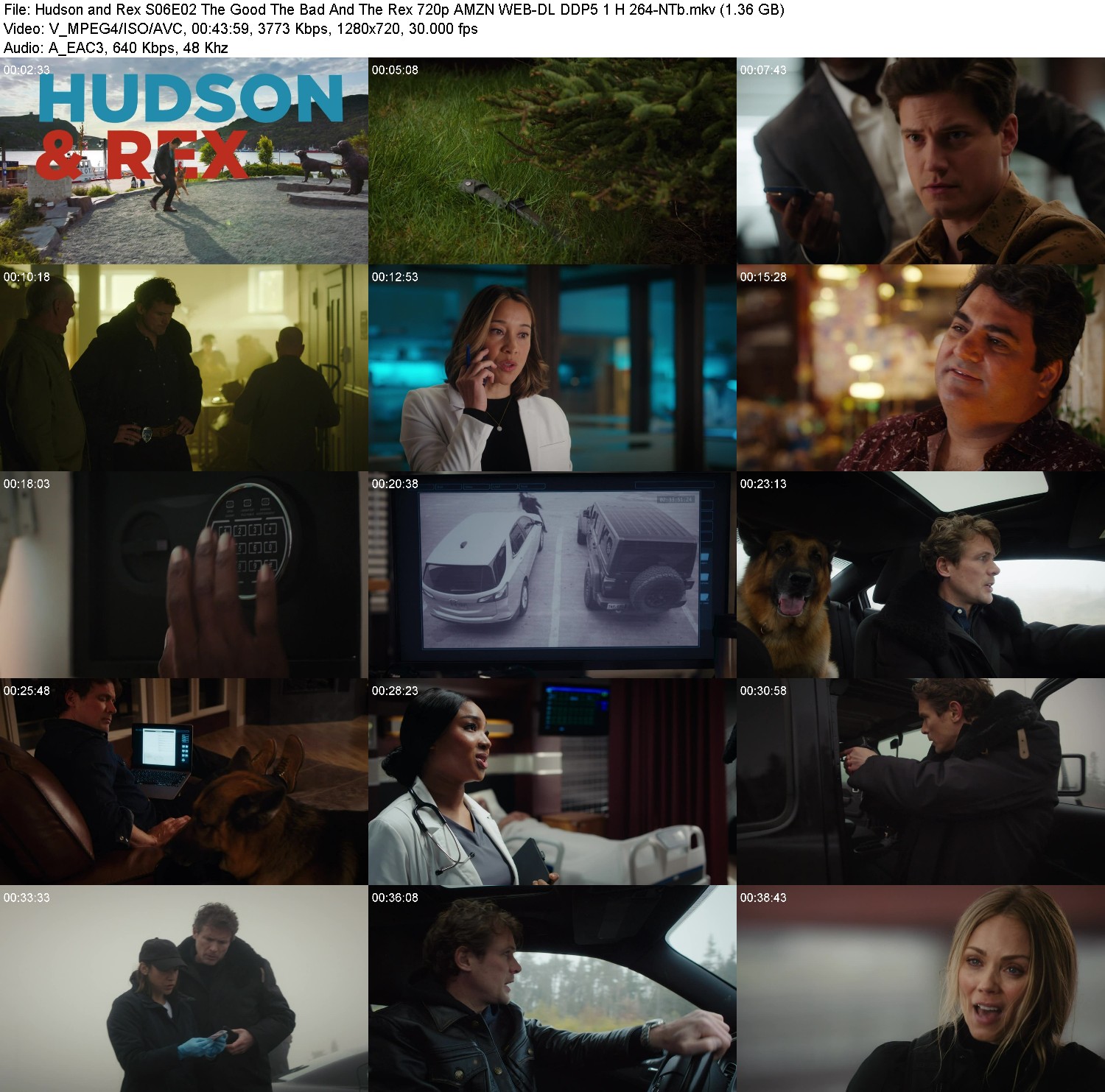 [Image: tke2p7py33nn.jpg]