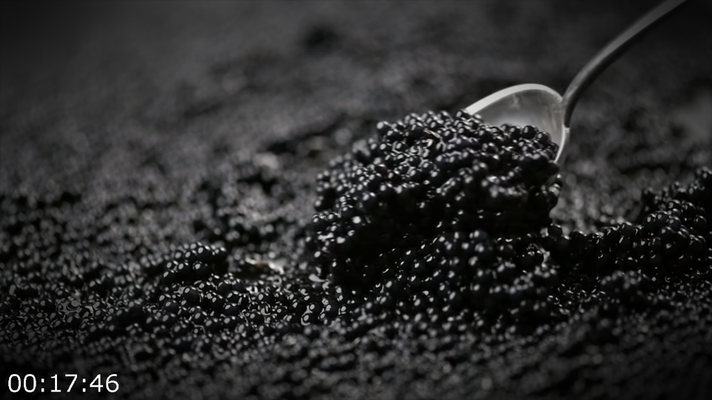 [Image: opl1xe6g32gz.png]