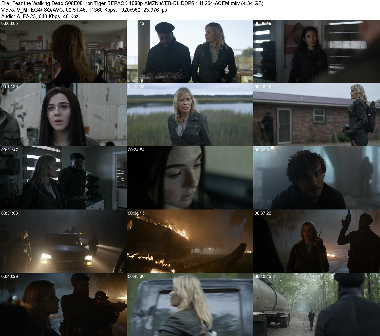 [Image: xr9lfe41bc0q.jpg]