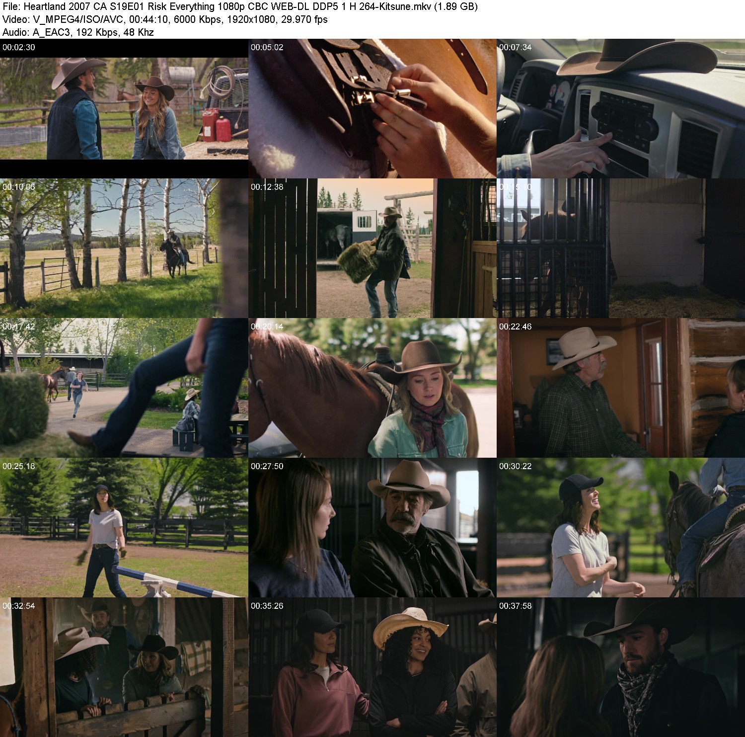 [Image: vlv51gwv8cx4.jpg]