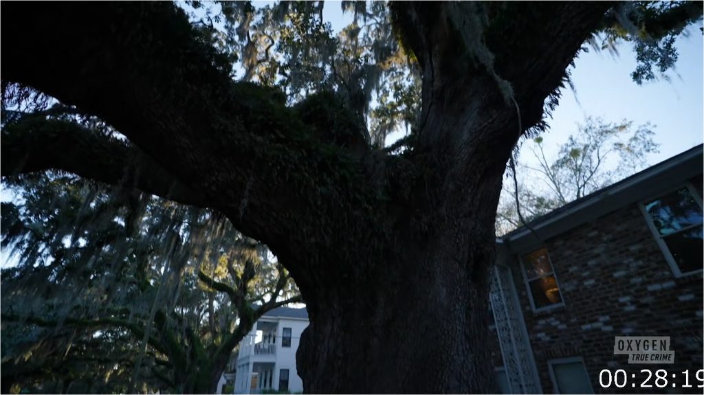 [Image: bja217pdkmw8.png]