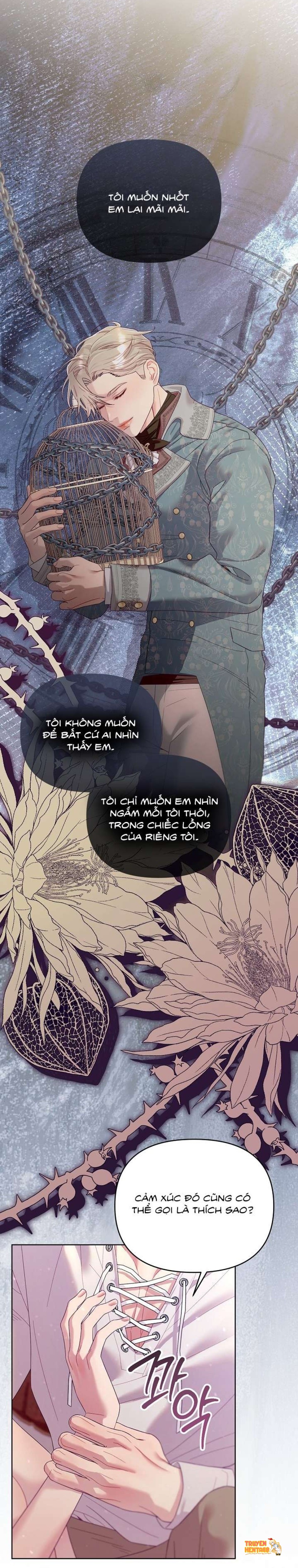 Xem ảnh [18+] Lồng Chim Của Người Sưu Tầm - Chapter 13 - tmpk61i37u8 - Truyenhentaiz.net