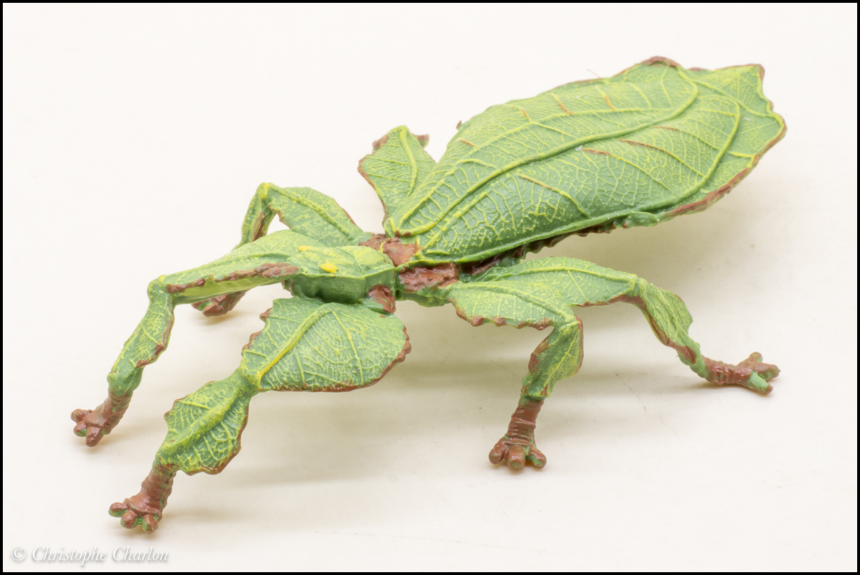 Papo 50323 Leaf Insect: a tiny walkaround by Kikimalou