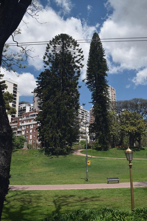 В джазе только девушки или аргентинско-бразильский калейдоскоп В джазе только девушки или аргентинско-бразильский калейдоскоп