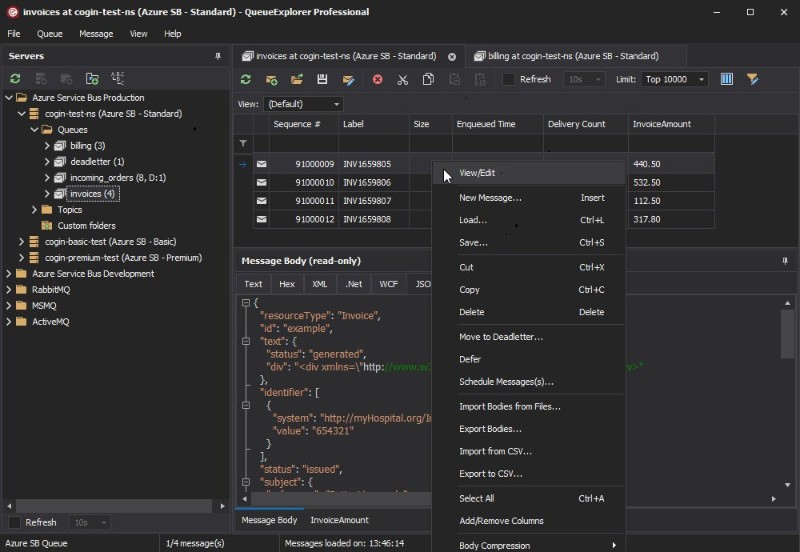 QueueExplorer Professional 5.0.80