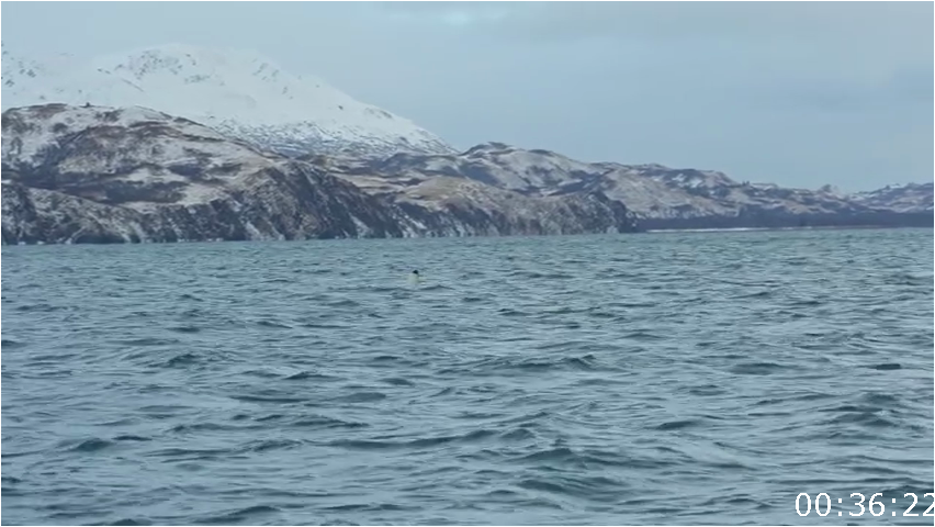 [Image: eqj6fsb2w54k.png]