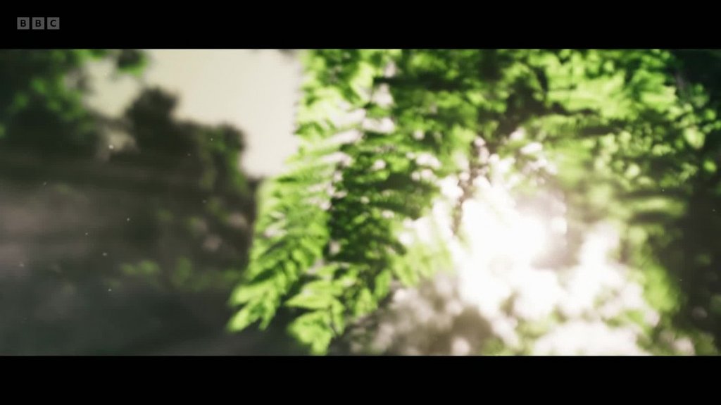 [Image: lzw88yt7ak9x.jpg]