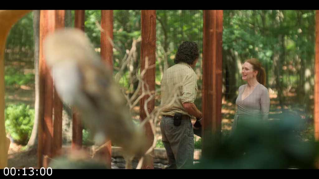 [Image: ttfg4b4t7tx0.png]