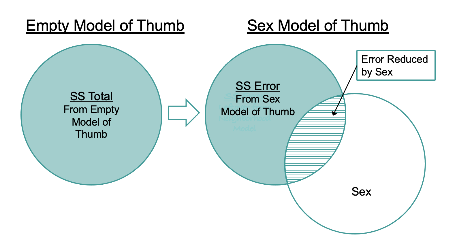 On the left, a single circle represents SS Total from the Empty Model of Thumb. An arrow from that circle points to a Venn diagram of two partially overlapping circles to the right. One circle is labeled as SS Error from the Sex Model of Thumb, and the other circle is labeled as Sex. The intersection where the two circles overlap is labeled as Error Reduced by Sex.