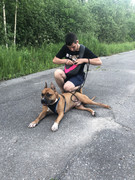 F68CB0BC-8141-4912-84EA-0A209DBA0D1E