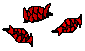 IMG-7101