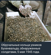 https://i.postimg.cc/DJ2g01dB/photo-2026-09-13-22-50-15.jpg