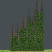 TRELLIS